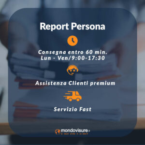 report persona
